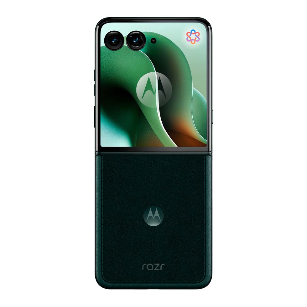 VERDE 2