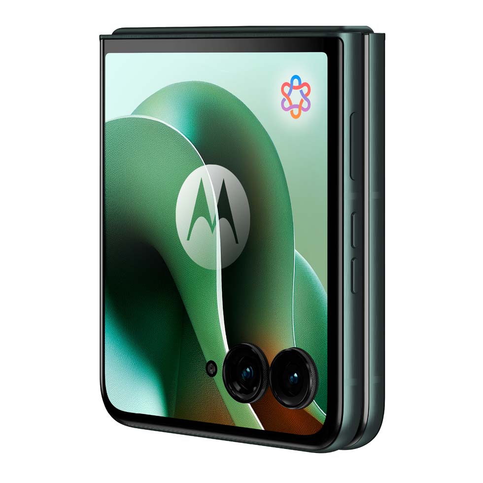 VERDE 4